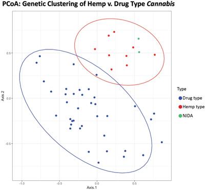 Comparative Genetic Structure of Cannabis sativa Including Federally Produced, Wild Collected, and Cultivated Samples